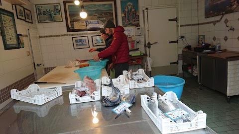 Pescheria Pippo (fishmonger)