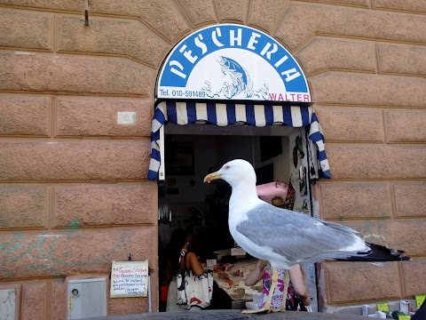 PESCEAZZURRO.Di VALTER