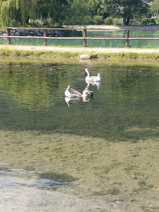 Lago grosotto