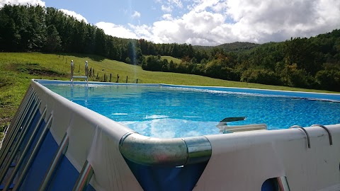 Emilia-Piscine