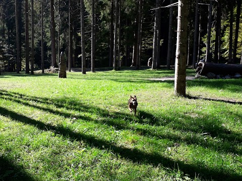 Chalet Rifugio al Faggio