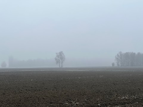 Parco umido della Tomina