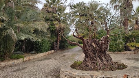 Il Giardino dei Tempi