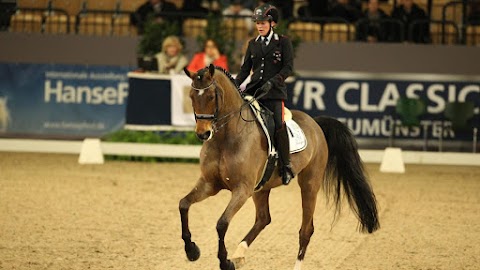 FISE Federazione Italiana Sport Equestri