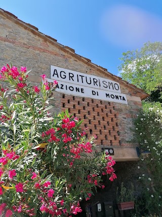 Agriturismo Stazione Di Monta Di Salotti Sandro