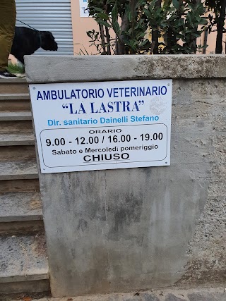 La Lastra Ambulatorio Veterinario Dott. Dainelli Stefano