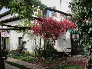 Domačija Zavadlal - Homestead