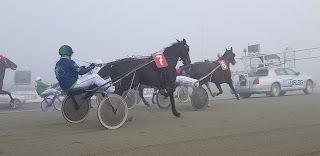 Hippogroup Torinese S.P.A.