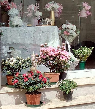 Arte Del Fiore di vaglini irene