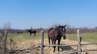 L’ASD I Tre Ponti