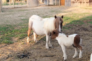 Agriturismo La Biolca 2922