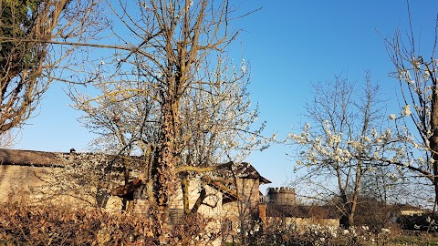 Centro di Promozione Sociale Mira-Bello