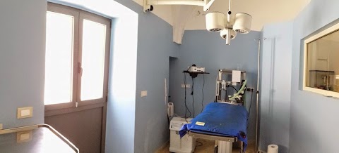 Clinica Veterinaria di Santantonio Carla s.n.c