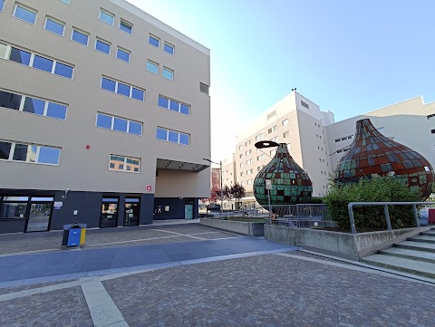 Università degli Studi di Padova Centro Linguistico di Ateneo