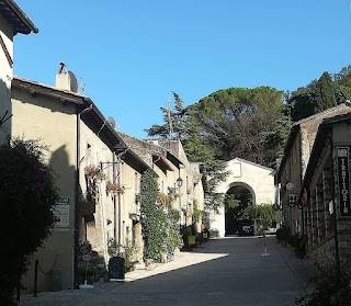 Il Fiore Di Carla Gattafoni