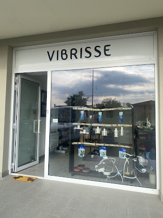 VIBRISSE Petshop