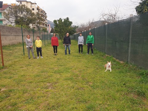 CENTRO CINOTECNICO CANE RANDAGIO ASD