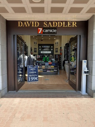 David Saddler