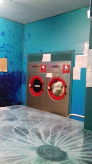 Laundry Sea Water Services