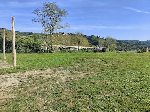 Piscina ValleChianti