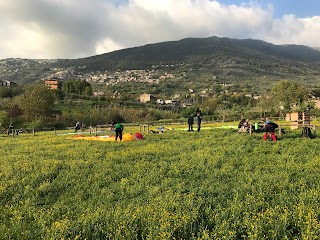 Landing Serrone Paragliding