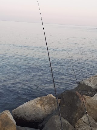 Nettuno Pesca S.r.l.