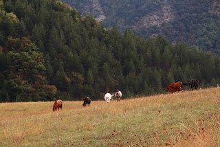 Maneggio il Poggiolo Valle Sintria