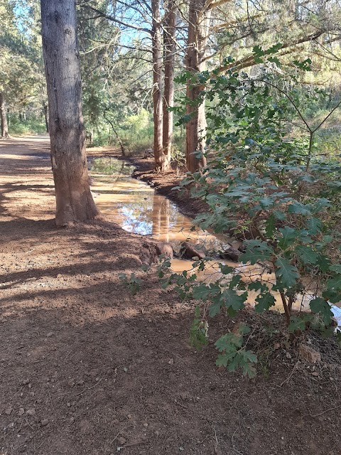 Small water source and trough