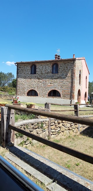 FATTORIA CASTELLINA - AGRITURISMO