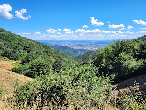 Cascina di Spedaletto