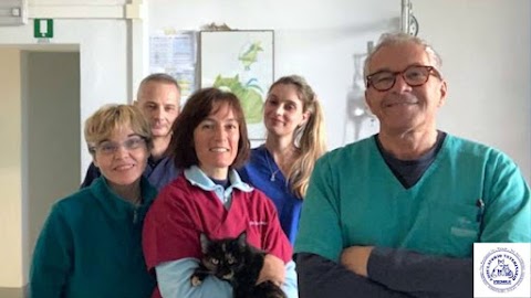 Ambulatorio Veterinario Fiesole