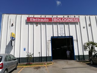 Elettrauto Bolognese