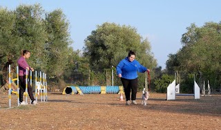 Centro Cinofilo "Malpelo" - Pensione Cani Addestramento Agility Dog