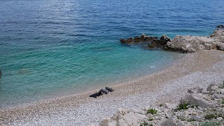 AcquaMission Trieste - Authorized PADI 5 Star Dive Resort - Corsi sub e apnea