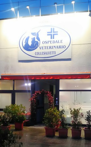 Ospedale Veterinario Collesalvetti