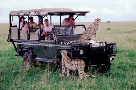 Safaris & Travel