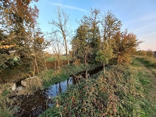 Vallo di San Vittore Olona