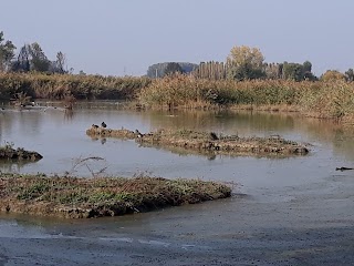 Oasi SIC-ZPS Manzolino