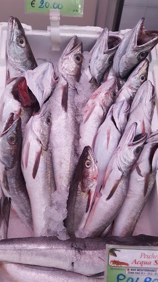 Panificio Acqua Santa