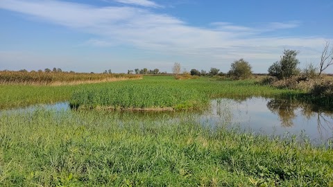 Parco umido della Tomina