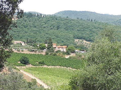 Selvabella in Chianti