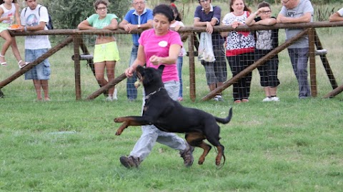 Addestramento cani ASD Happy Dog Palermo