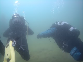 DIVE WITH US