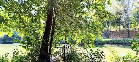 Oasi Bosco di Montorfano