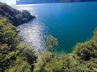 Riserva Naturale Integrale Gardesana Orientale