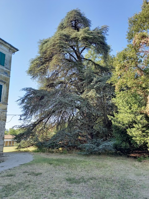 Parco naturale regionale Boschi di Carrega