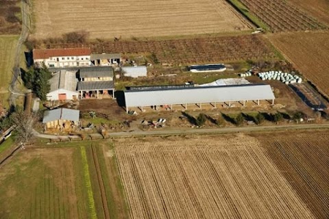 Azienda Agricola Vaudagna di Ugliono Marco