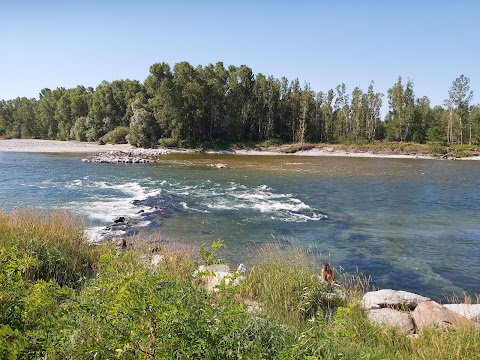 Parco Del Ticino