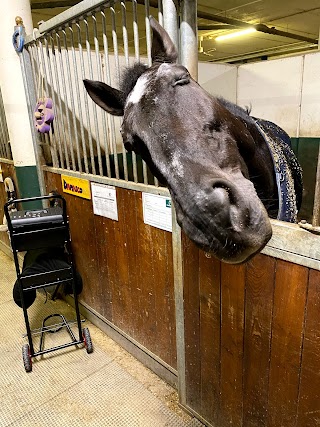 Associazione Equestre Bosco Basso Franciacorta