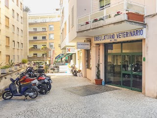 Ambulatorio Veterinario Monti Parioli